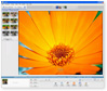 Picasa