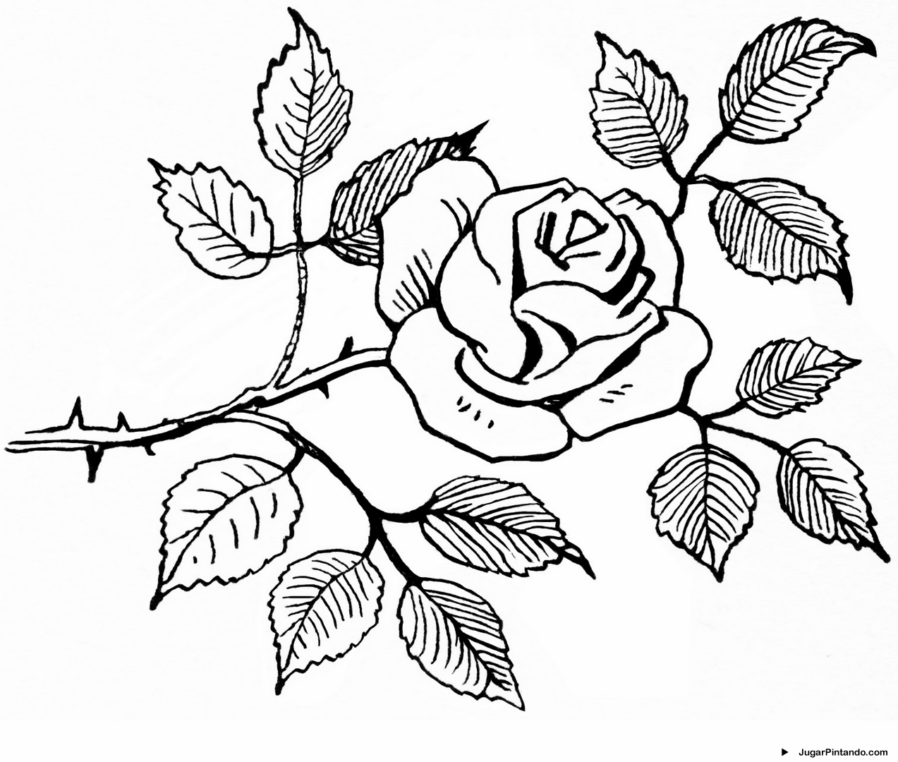 Dibujos De Rosas Para Colorear Pintar E Imprimir