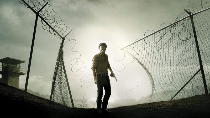 The Walking Dead (10)