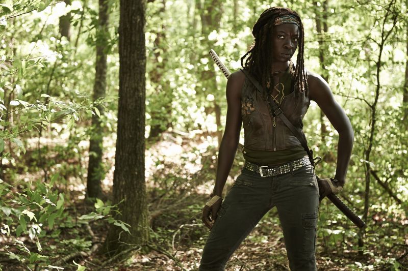 Michonne (Danai Gurira) - The Walking Dead - Season 4 _ Gallery - Photo Credit: Frank Ockenfels 3/AMC