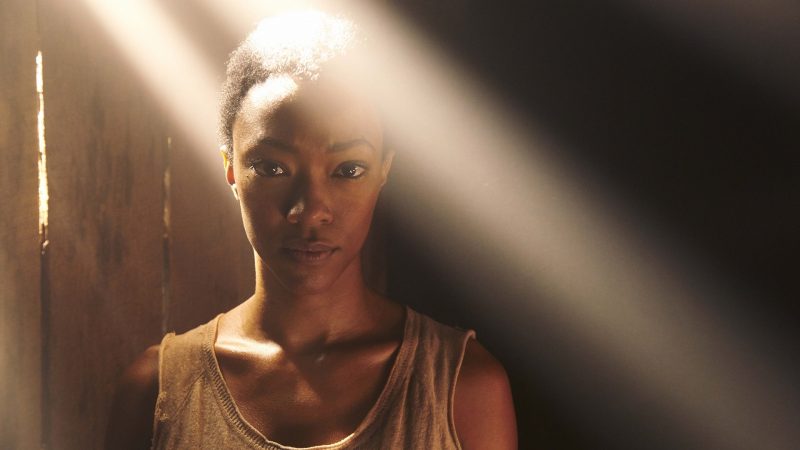 Sonequa Martin-Green as Sasha - The Walking Dead _ Season 5, Gallery - Photo Credit: Frank Ockenfels 3/AMC