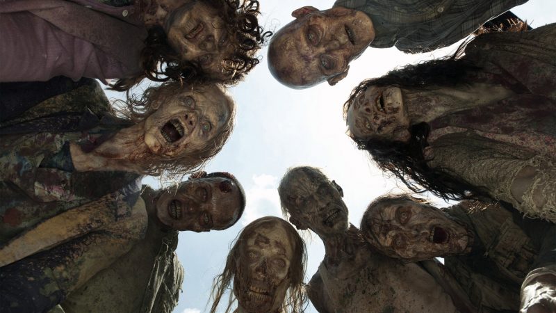 The Walking Dead (35)