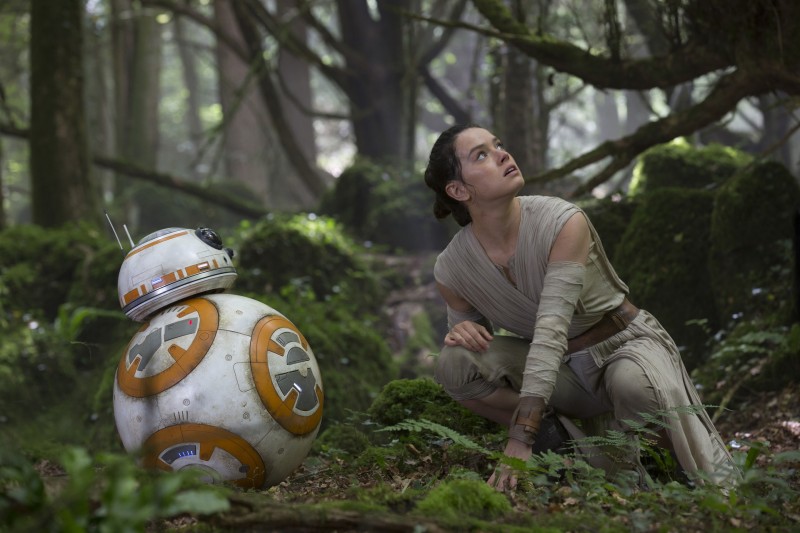 Fondo de pantalla Rey y BB8 en el bosque, Star Wars