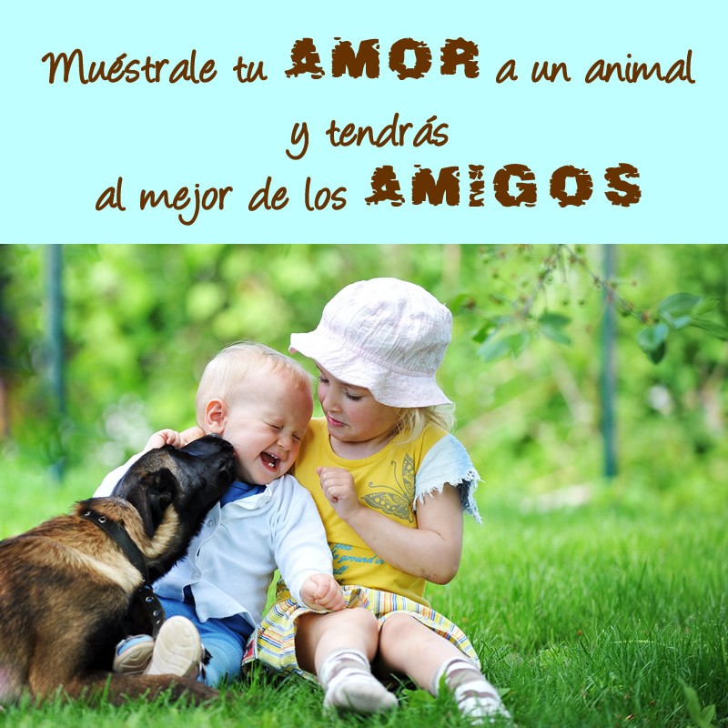 amistad imagenes (10)