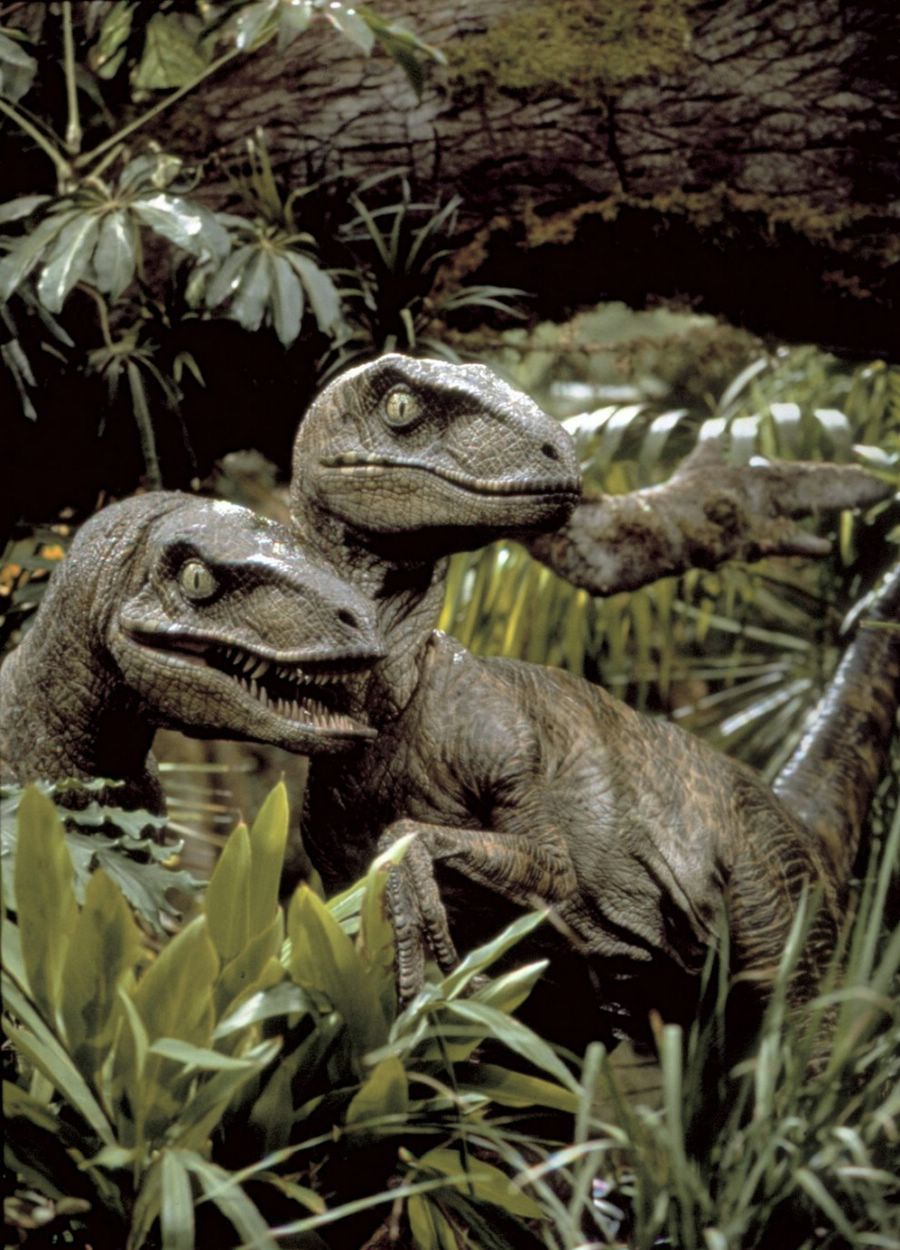 Fotos de Jurassic Park, imagenes de Jurassic Park