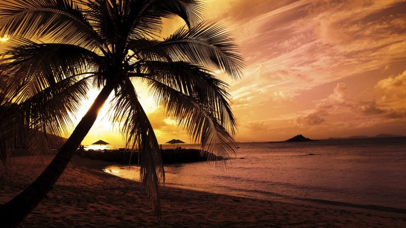 foto-playa-al-atardecer-con-palmera