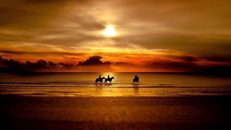 playa-al-atardecer-con-caballos-foto-hd