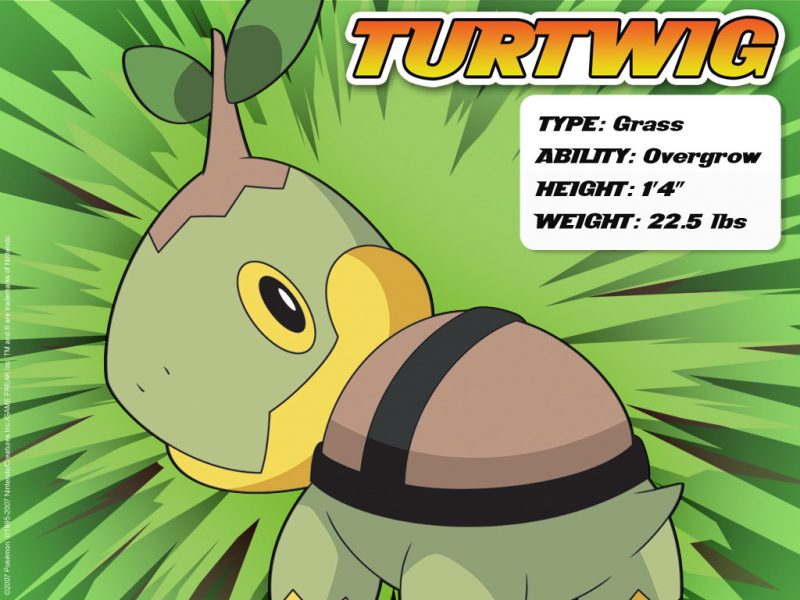 turtwig-pokemon