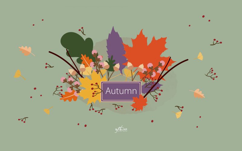 autumn-images-hd
