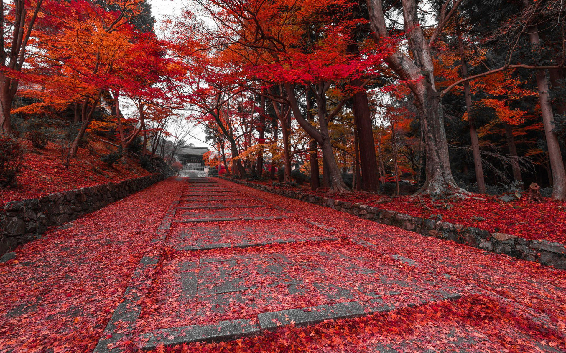 Fondos Otoño, wallpapers autumn, fondos de pantalla de otoño