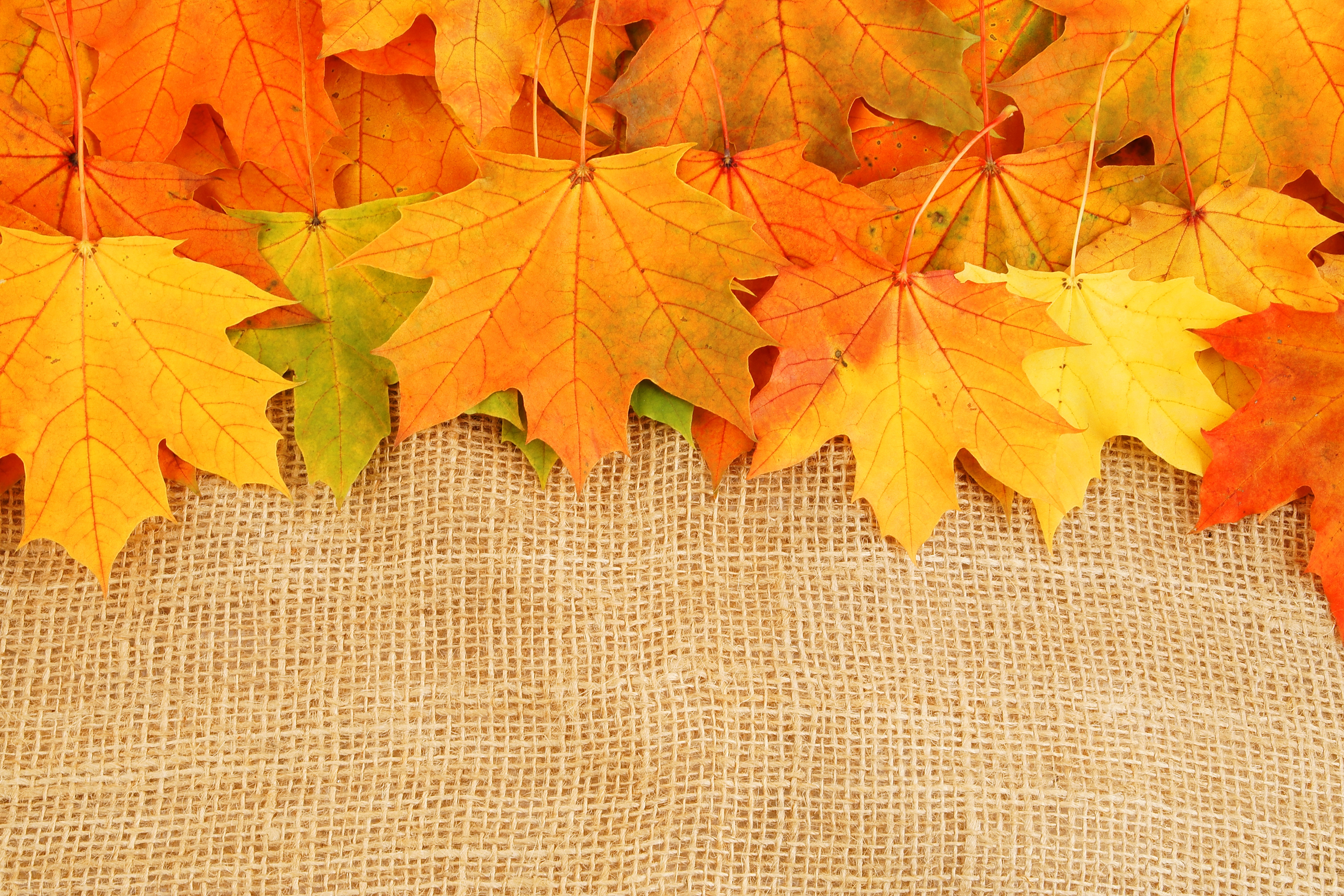 Fondos Otoño, wallpapers autumn, fondos de pantalla de otoño
