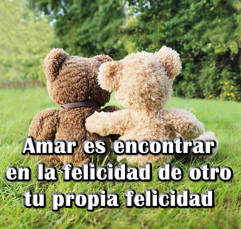 imagen-felicidad-osos-amor