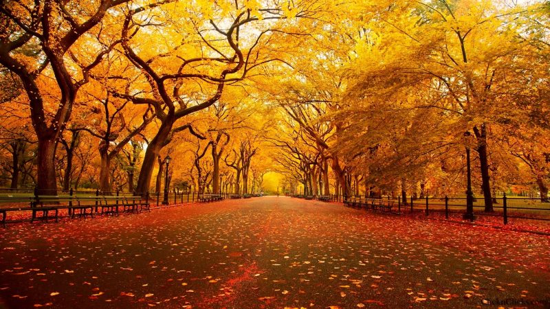imagenes-de-otoño-hd-gratis