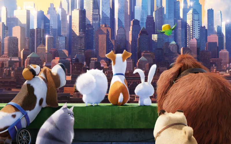 la-vida-secreta-de-tus-mascotas-pelicula-fondos-de-pantalla-hd