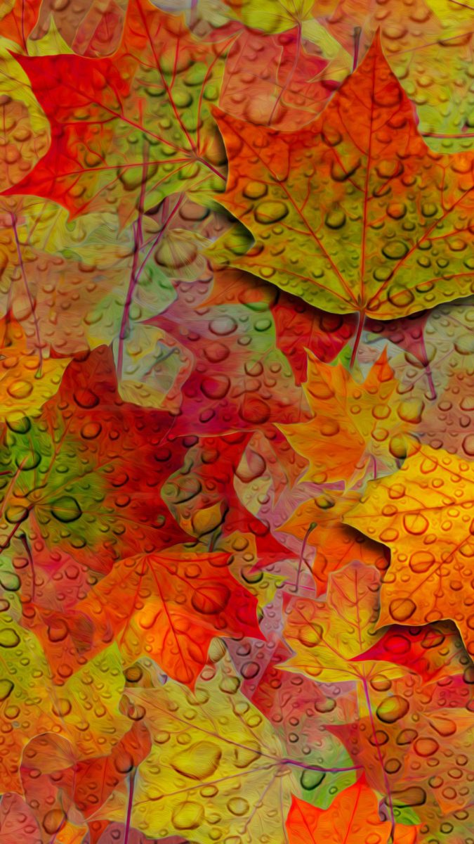 otoño-wallpapers-android