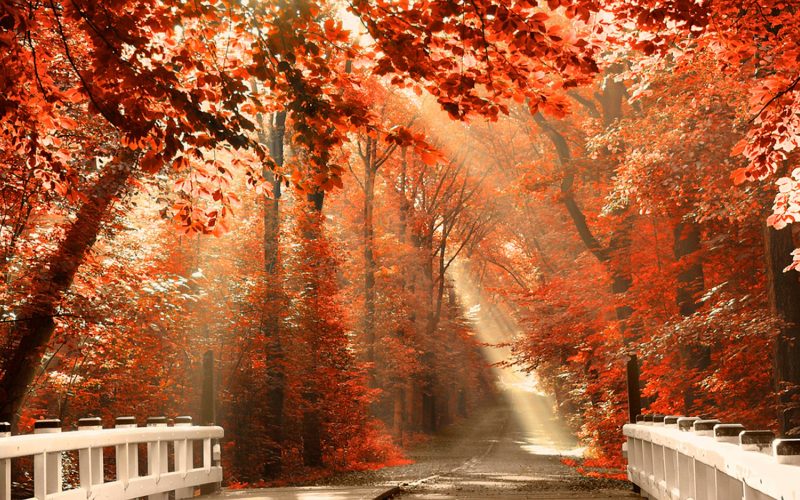 paisajes-de-otoño-bonitos-fondos-hd