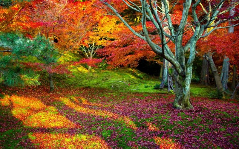 paisajes-otoño-wallpapers-hd