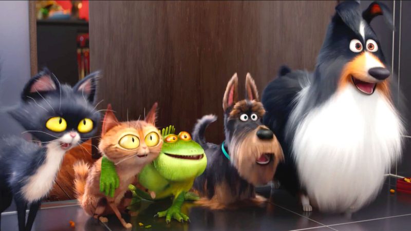 pets-movie-wallpapers