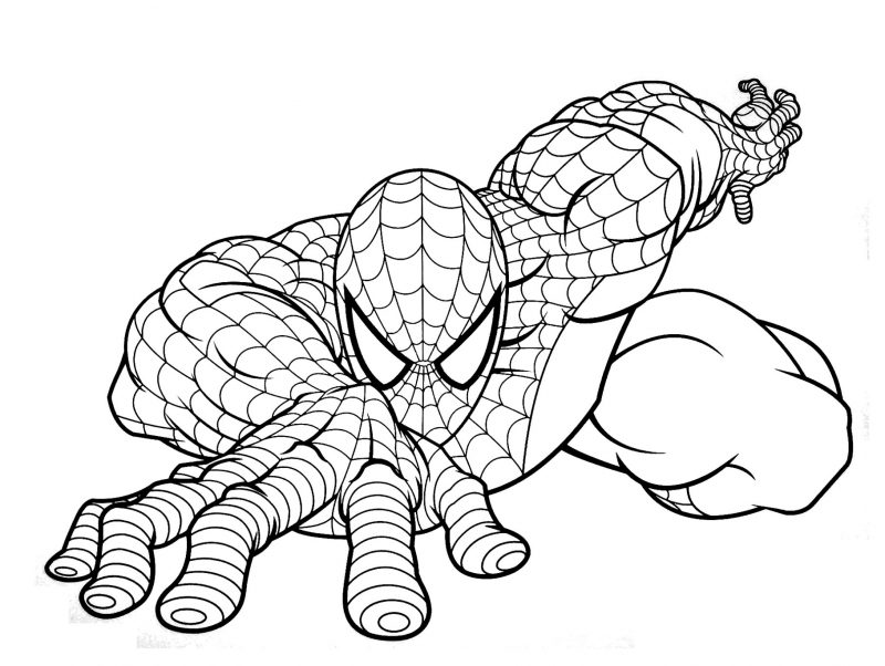 Dibujos de Spiderman para colorear 1-2
