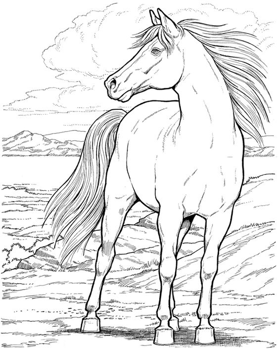 palomino coloring pages - photo #18