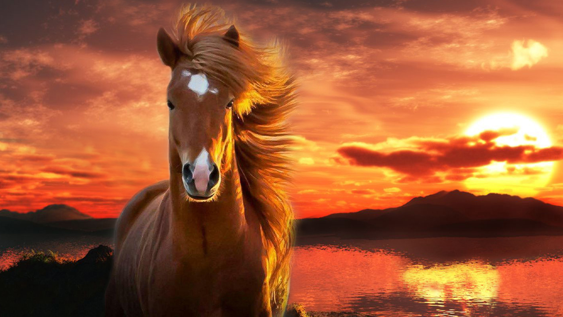 Caballos fondos de pantalla, horses wallpapers hd