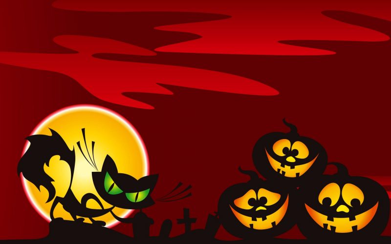 gato-y-calabazas-halloween-wallpaper