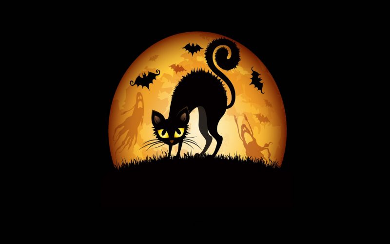 halloween-background-hd