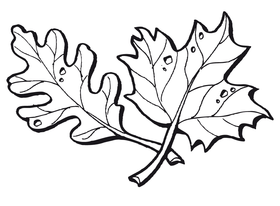 dibujos de otono para colorear