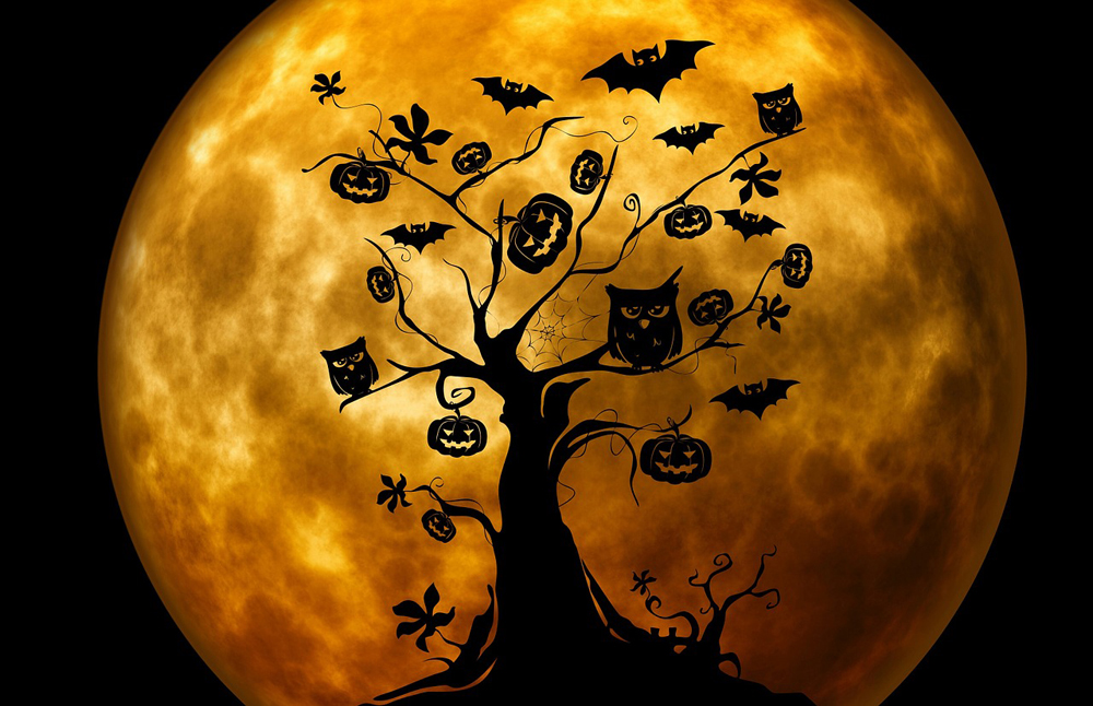 Imágenes de Halloween, imágenes de feliz halloween para ... - 1000 x 646 jpeg 430kB