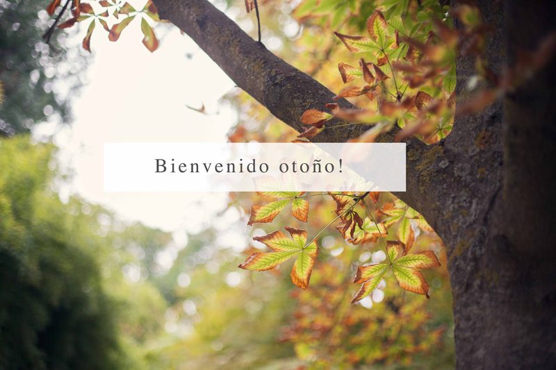 otoño-2016-bienvenido