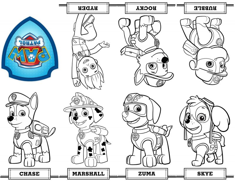 paw-patrol-la-patrulla-canina