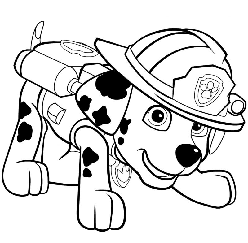 paw-patrol-marshall