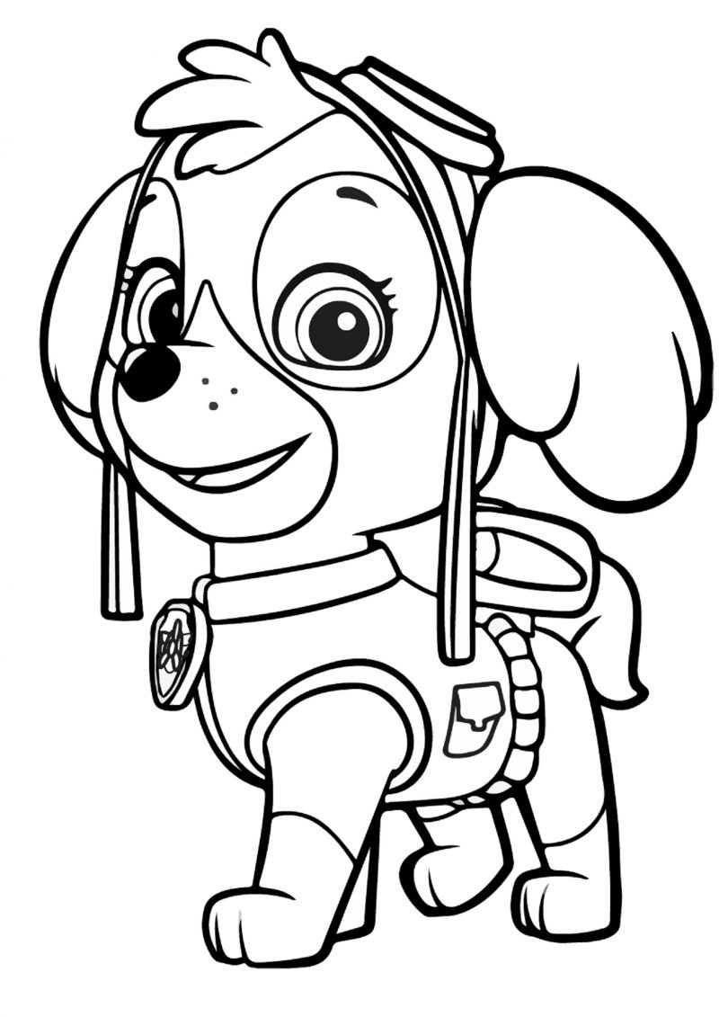 paw-patrol-skye