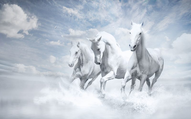 white-horses-wallpapers