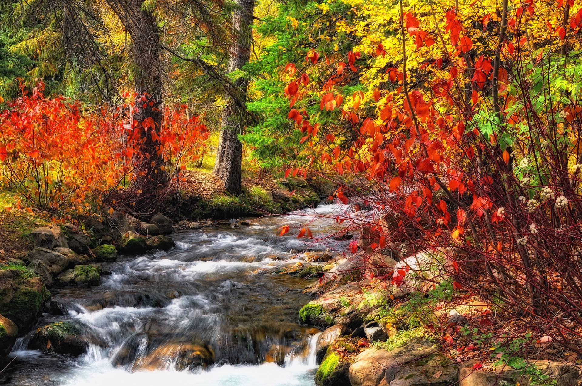 Paisajes de Otoño para fondos de pantalla, otoño wallpapers