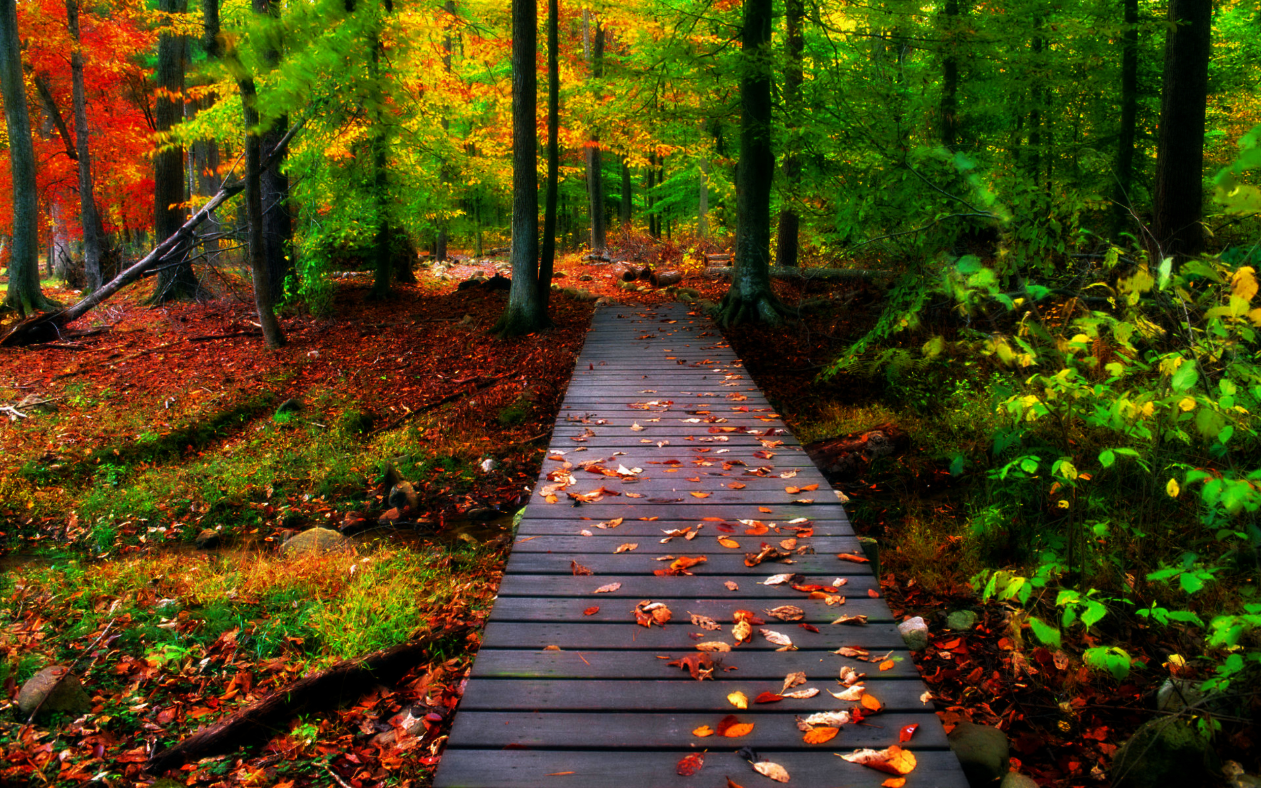 Paisajes de Otoño en fondos de pantalla.