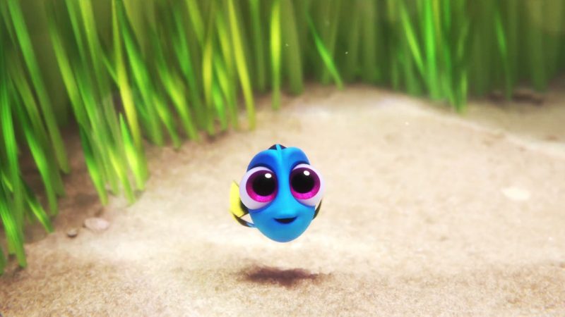 baby-dory-finding-dory-wallpaper