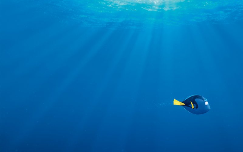 buscando-a-dory-wallpapers-hd