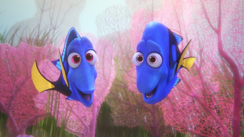 charlie-y-jenny-wallpapers-buscando-a-dory