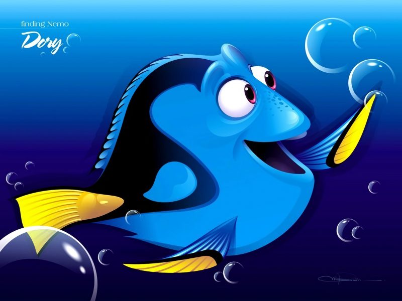 dory