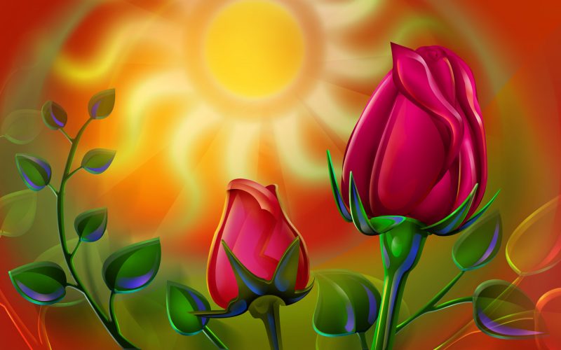 flores-wallpapers-11