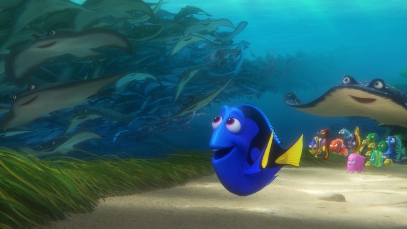 fondos-buscando-a-dory-wallpapers