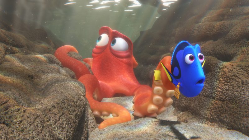 hank-y-dory-fondos-4k