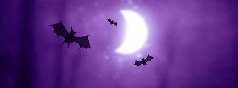 murcielagos-imagenes-facebook