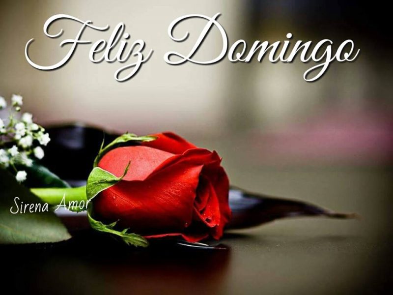 feliz-domingo-1