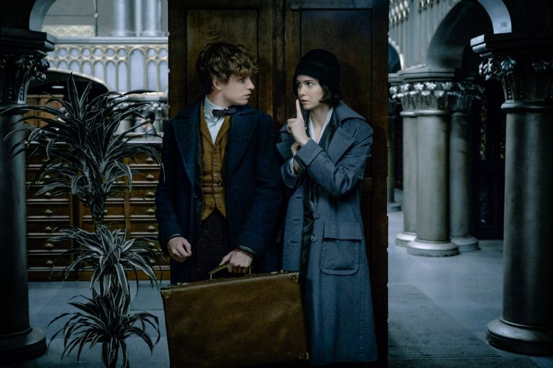 FANTASTIC BEASTS AND WHERE TO FIND THEM