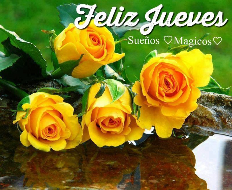 feliz-jueves-2