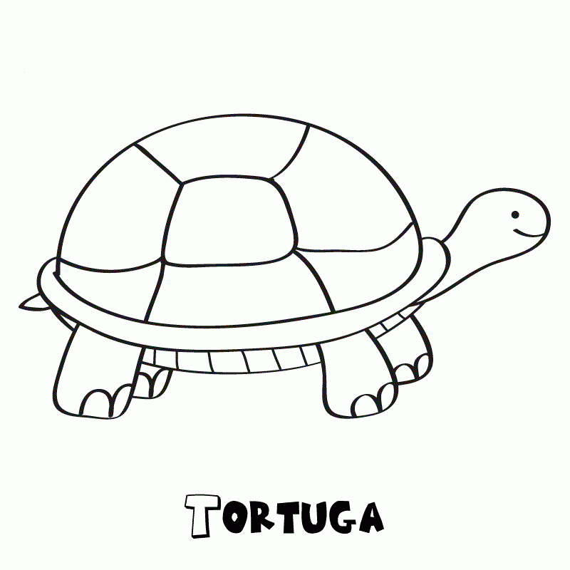tortugas-para-colorear-1