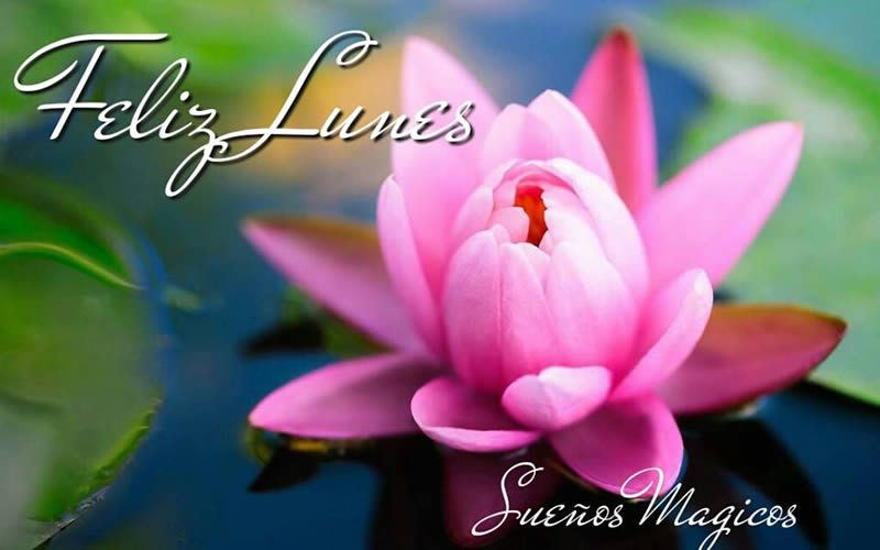 feliz-lunes-12