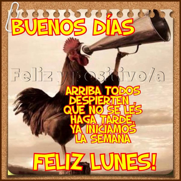 Imágenes de Feliz Lunes con frases positivas